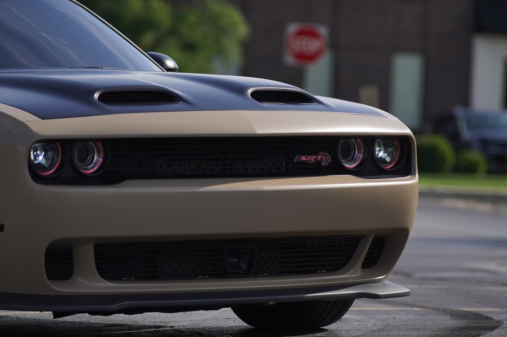 paint protection film raynham ma